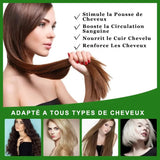 ALSANCIA - ReLush - Élixir de Romarin pour Cheveux