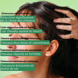 ALSANCIA - Spray Apaisant au Romarin Vivaci