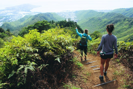 Les 10 meilleurs sentiers de randonnée en France pour les amateurs d'aventure - ALSANCIA