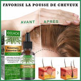 ALSANCIA - ReLush - Élixir de Romarin pour Cheveux